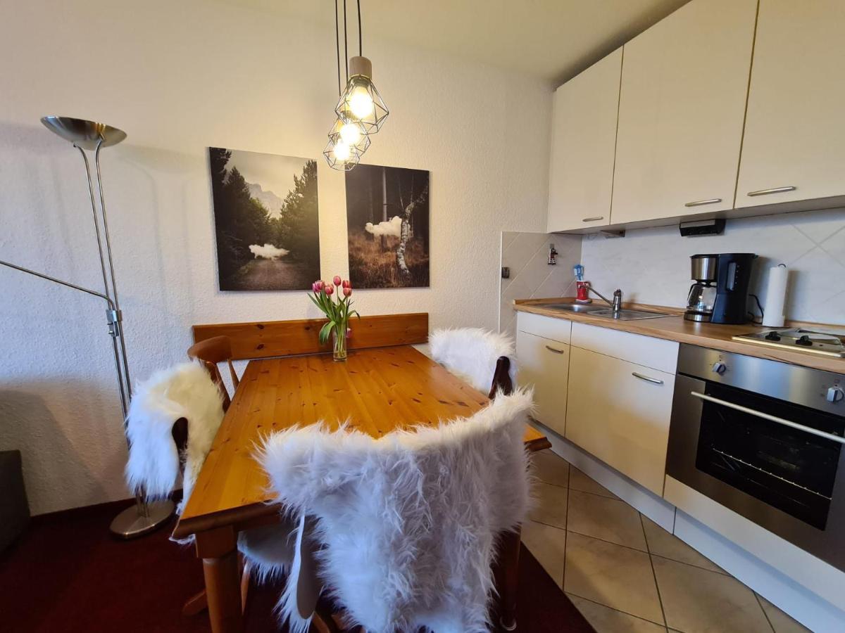 Harzblick 13 Apartment
